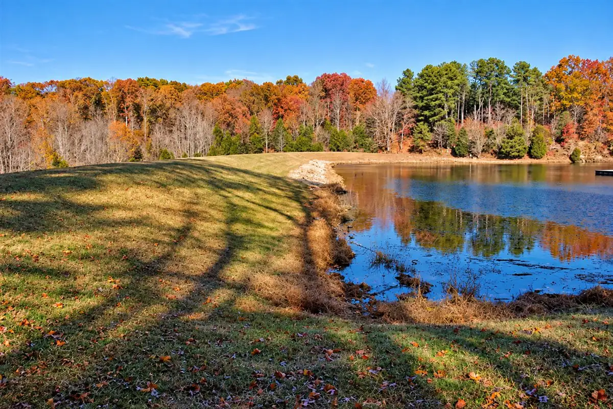 Woodland trail at Montgomery Bell State Park