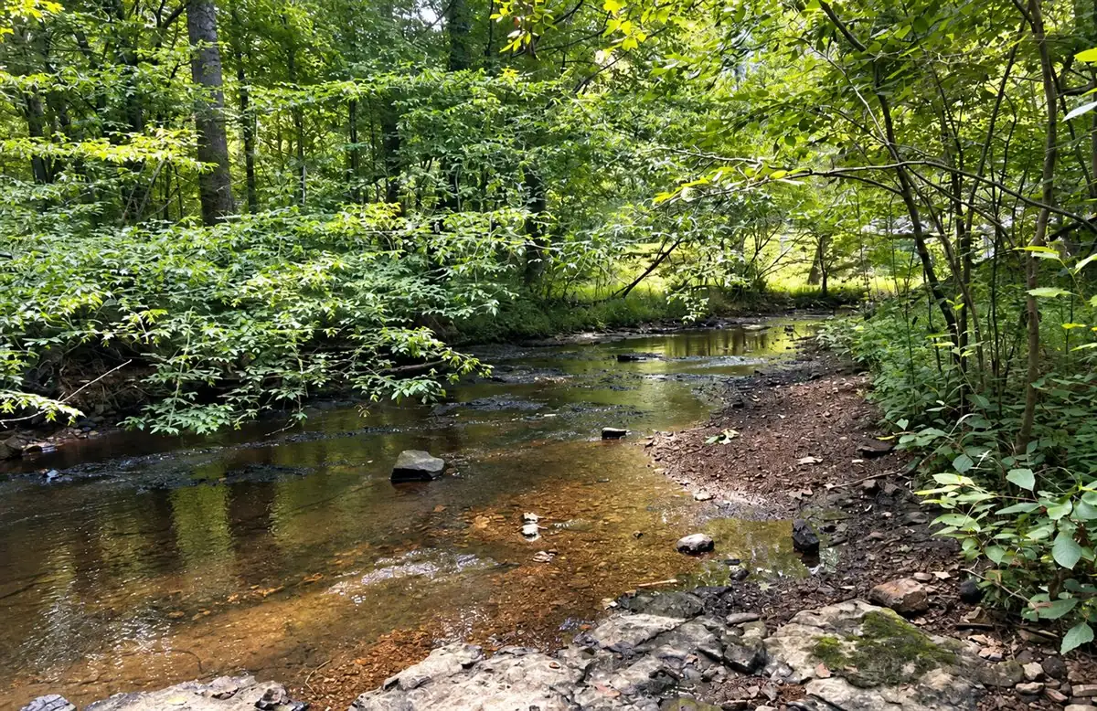 Jim Bailey Nature Trail at Montgomery Bell State Park