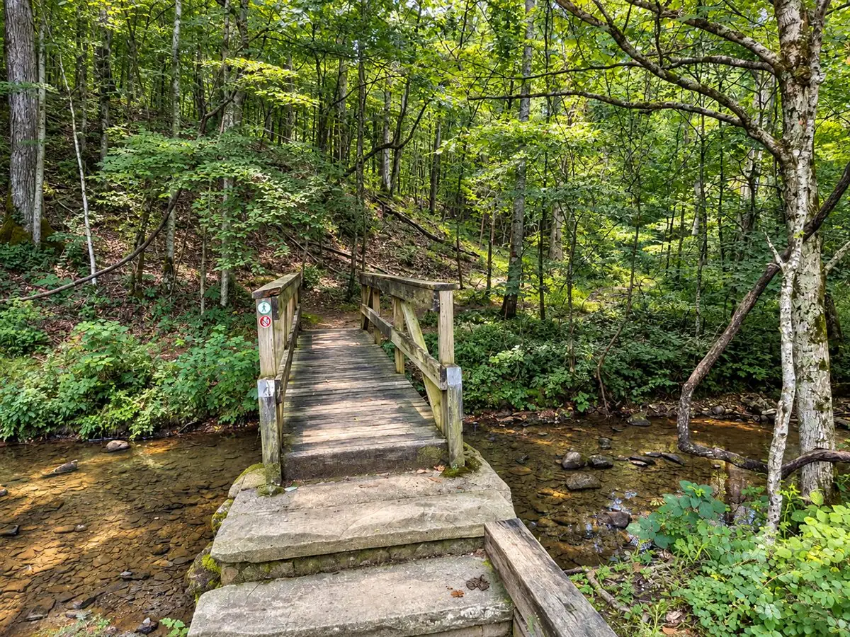 Ore Pit Trail at Montgomery Bell State Park