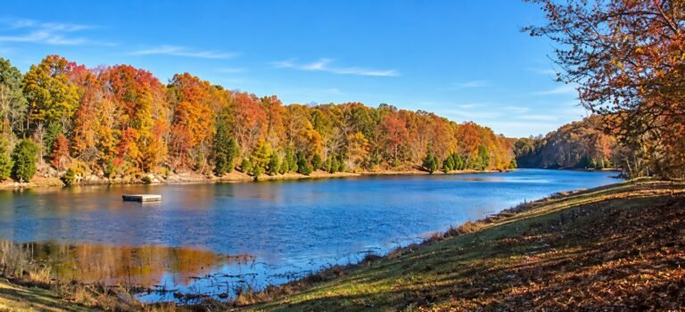 Autumn shoreline scenery along Creech Hollow Trail at Montgomery Bell State Park