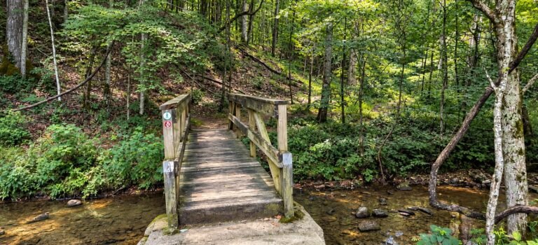 Wooden footbridge on Ore Pit Trail at Montgomery Bell State Park