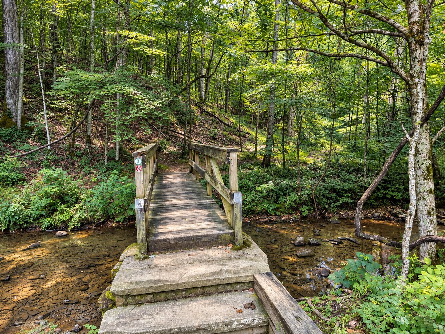 Wooden footbridge on Ore Pit Trail at Montgomery Bell State Park